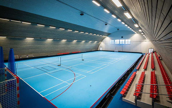 edel sport group