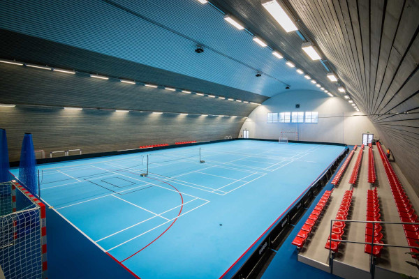 edel sport group